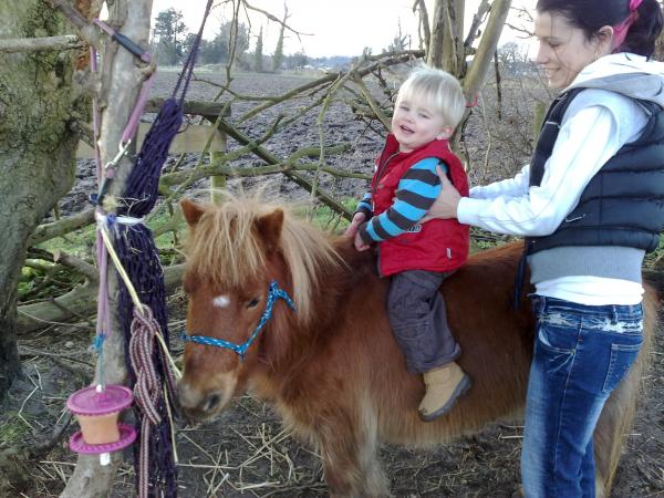 2 year old Tyler (my great nephew) sitting on Cassi with Mum Hayley