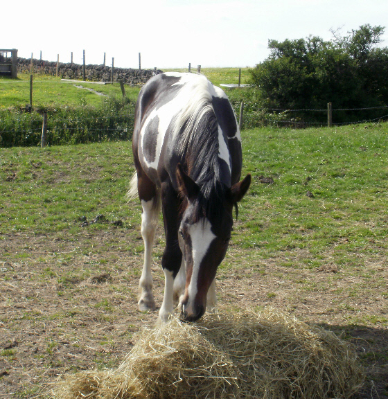 200610 12