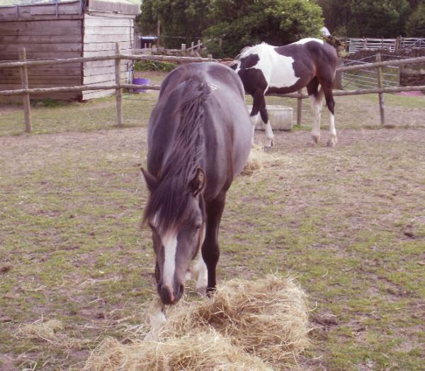 200610 14