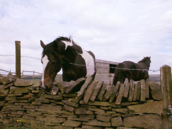 200610 3