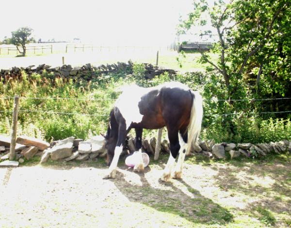200610 4