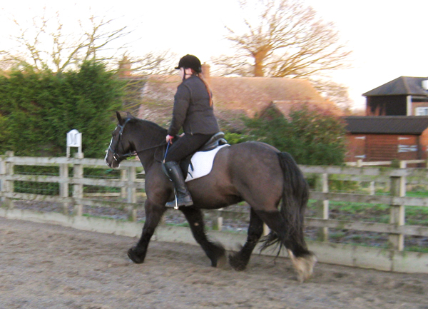 Alfie 1