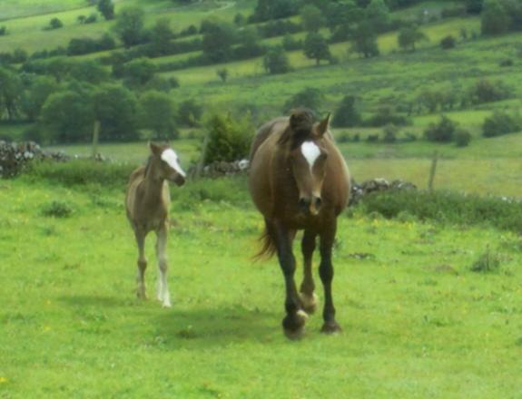 Bailey at 10 days, with his mum