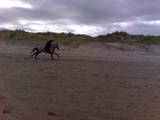 beach 6