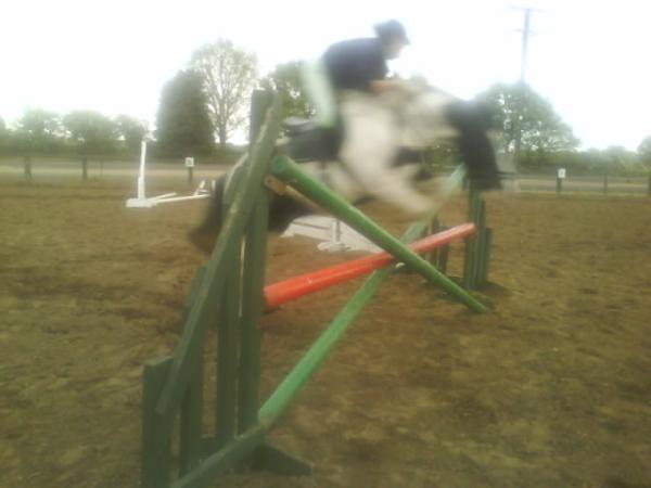 beasty