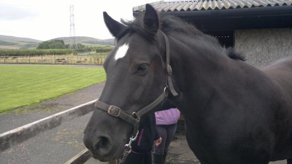 Before loading. Taking it all in his stride.