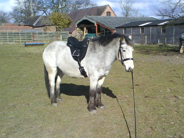 Before Lunging