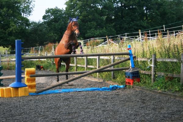 Big jumpies!!!!