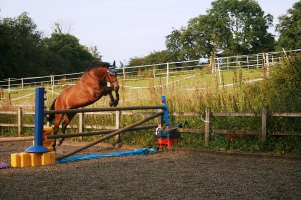 Big Jumpies