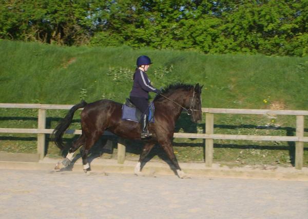Black Mare