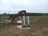 bonnie jumping 1