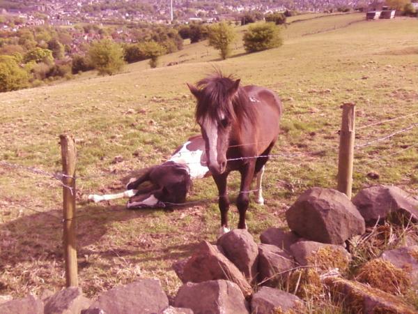 Both fast asleep