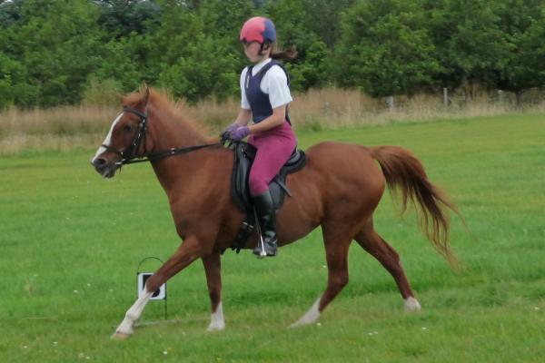 canter left