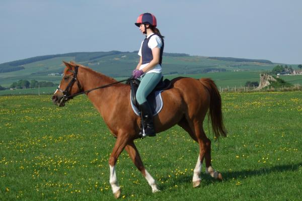 canter right