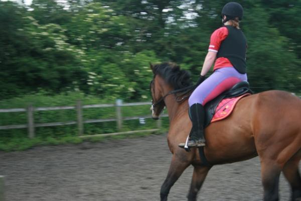 Canter