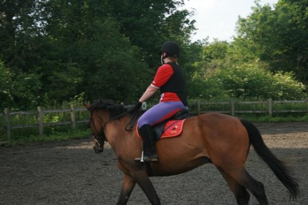 canter