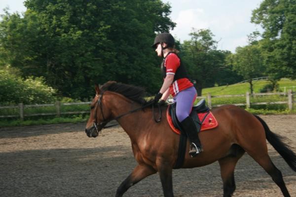 Canter