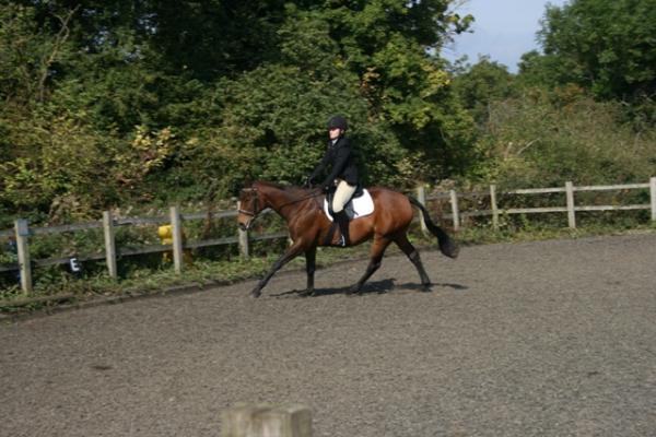 Canter