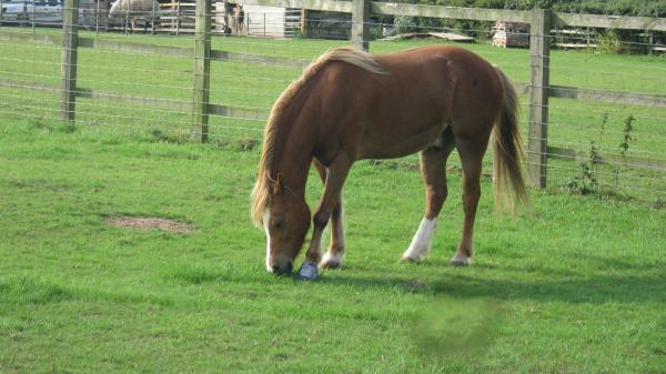 Charlie 

back out again