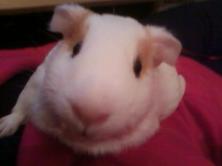 Cuddle time!