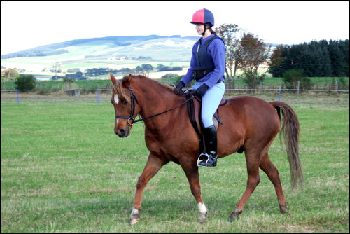 cute trot