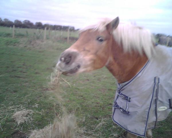Daisy in her 'mac'