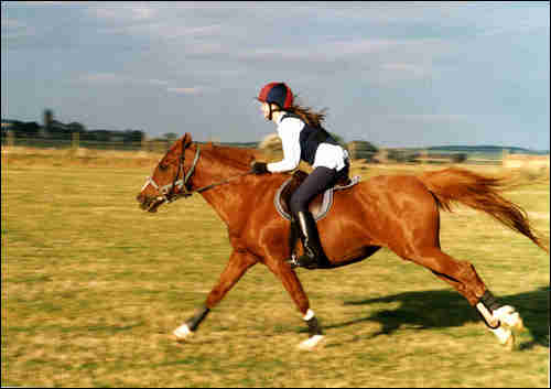 dawn galloping 2003