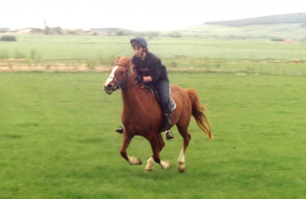 dawn galloping