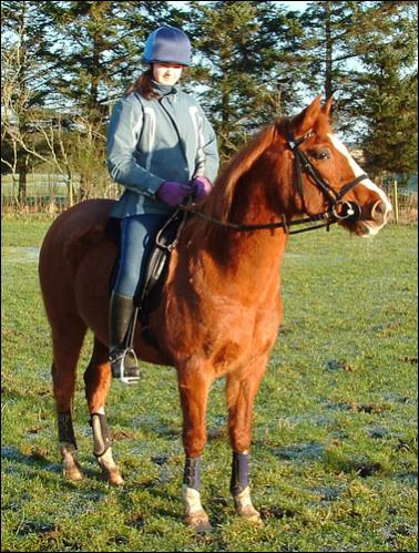 dawn looking like grandsire dadia