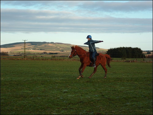 dawn no hands