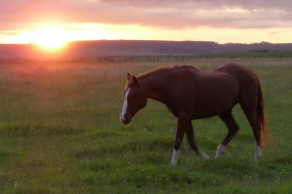 dawn sunset