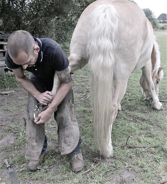 Do what you like with my back feet  -  just let me get on with my eating