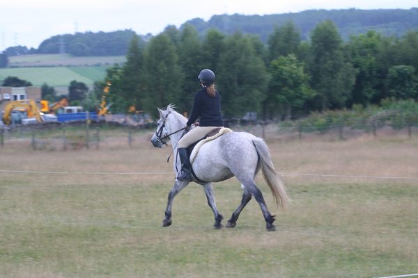 Doesn't look too bad