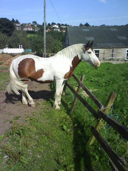 DSC00066