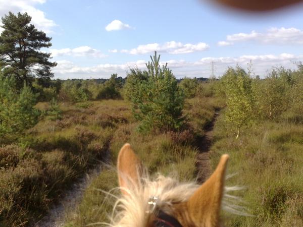 ear shot of Parley Common