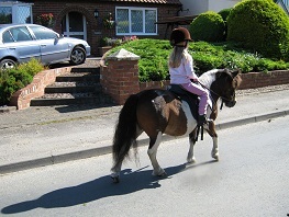 Em&Acorn 2012