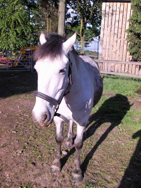 Enjoying The summer sunshine