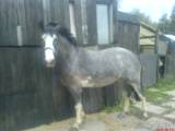 Fearn 3 18.04.20008