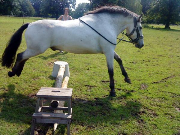 First Time Jumping!