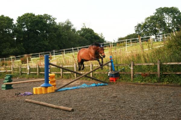 flying!!!!