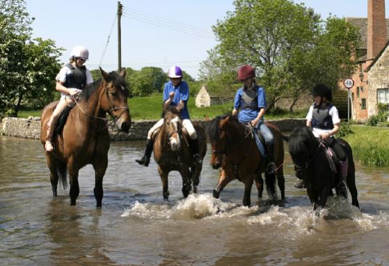Fun in the river