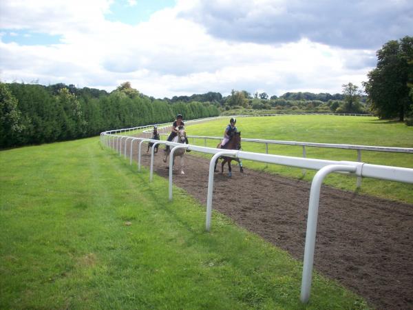 Galloping gourmet!
