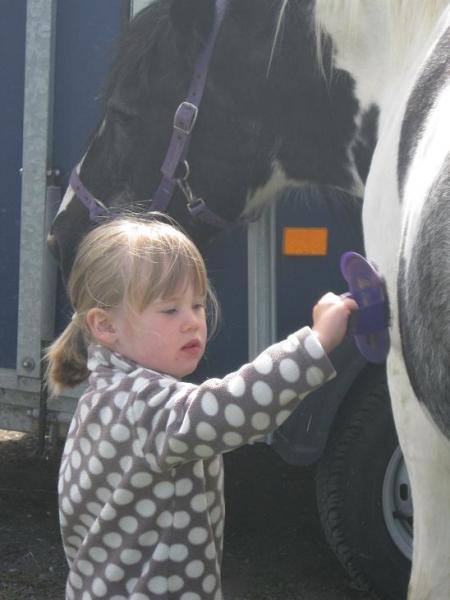 Getting Tess clean