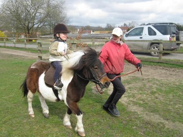 getting to grips with trot!