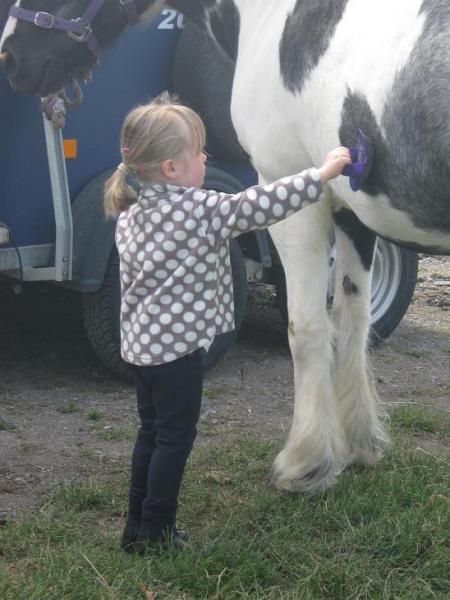 half a body groom, its all she can reach!