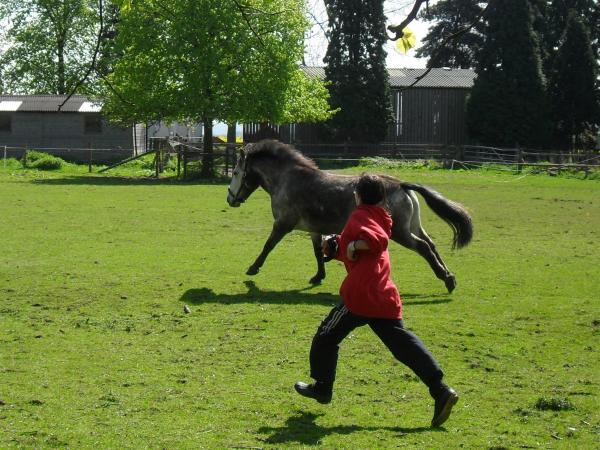 Having a play!