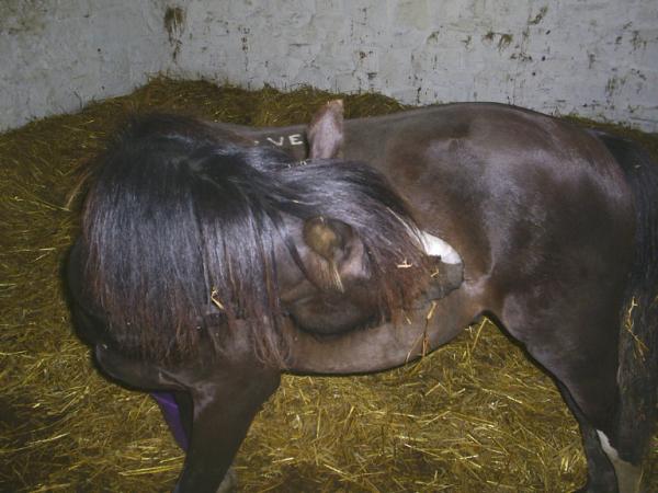 Having an itch!
