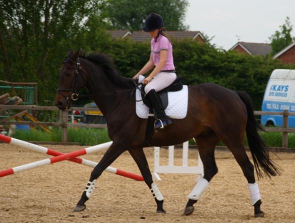 Heels up, hands down, shoulders forward & looking down.

How NOT to ride!