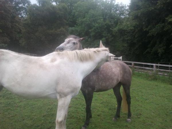 her best friend