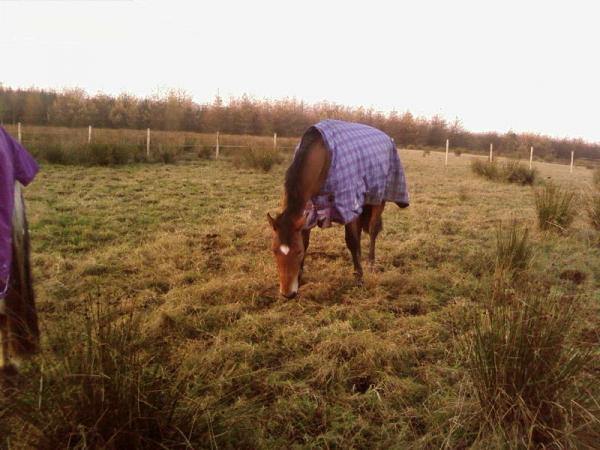 her first day in the field